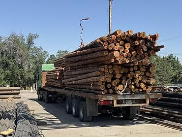 Всегда свежий! Продаем кругляк, кругляки сорт сосна, диаметр от 10 см