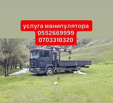 электрик манас: Стрела 9 м, 3 т, Борт 10000 кг — 1