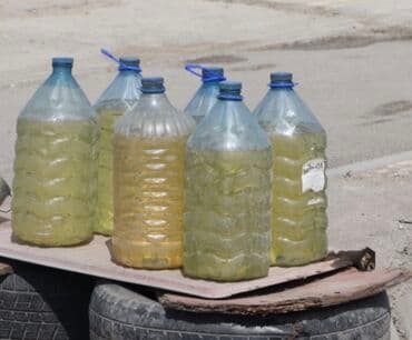 продам тыкву: Канистра 5 л, Самовывоз, Платная доставка — 3