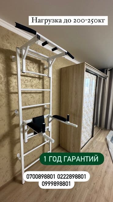 турник с брусьями для дома: Турник, Новый, Бесплатная доставка — 1