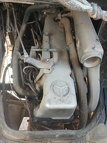 t max: Автобус, Mercedes-Benz — 4