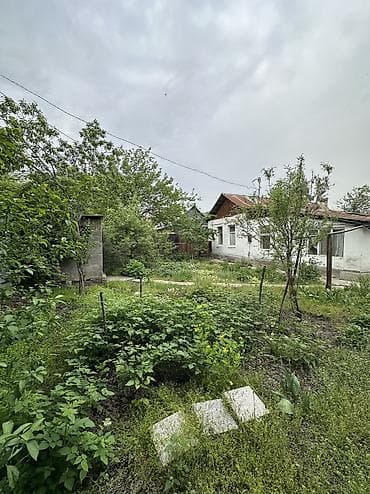 ташкентский: 5 соток, Для строительства, Договор купли-продажи, Красная книга, Тех паспорт — 9