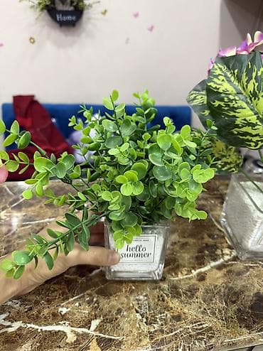 Освещение: Искусственные орхидеи в кашпо - Компактные декоративные композиции из — 7