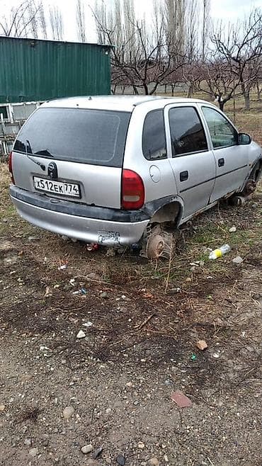 цлс банан: Opel Corsa B, 5‑дверный хэтчбек, серебристый цвет. Российские номера — 4