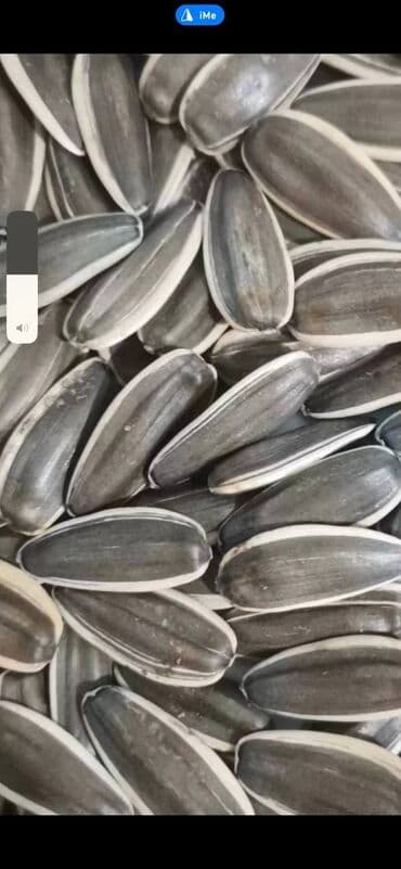 бу мебель бишкек: Семичка куункарама — 2