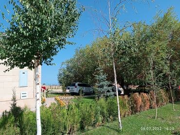 дачи на иссык куле: Коттедж, ASIAPALAC ЦО Карвен 4 сезона, Сары-Ой, Детская площадка, Парковка, стоянка, Охраняемая территория — 16