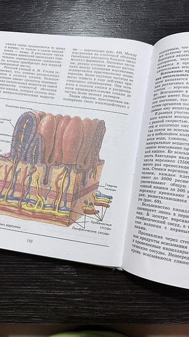 third edition solution: Комплект школьных учебников: Каждая 200 сомов 1) География материков — 6