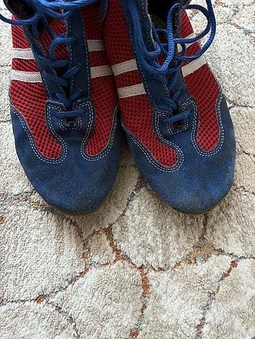 Үлпөт көйнөктөрү жана аксессуарлар: Эркектердин кроссовкасы, 41.5, Asics, Колдонулган, түсү - Көк — 3