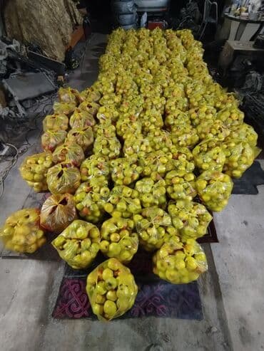 натуральный сок цена бишкек: Яблоки Голден, Оптом — 3