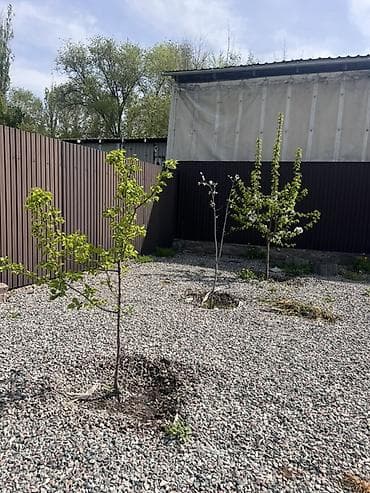 продаю участка: Дом с благоустроенным двором и современным интерьером. - Просторный — 2