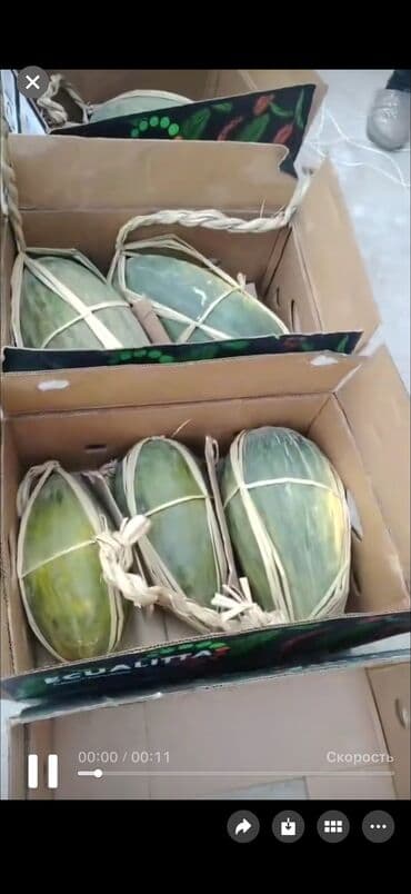 стеллаж для фруктов: Дыни — 4