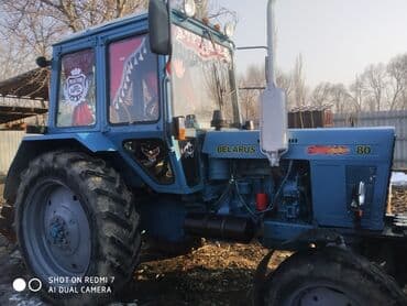 Тракторы МТЗ (Беларус)