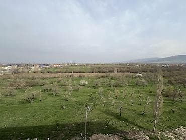 нурисди: 1 комната, 55 м², 106 серия улучшенная, 6 этаж, Готовая ПСО (под самоотделку) — 9