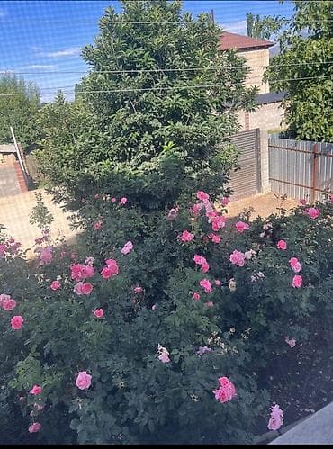 новопавловка заря дом: Продаю дом в селе Чон Сары Ой в Иссык Куле. Дом кирпичный — 2