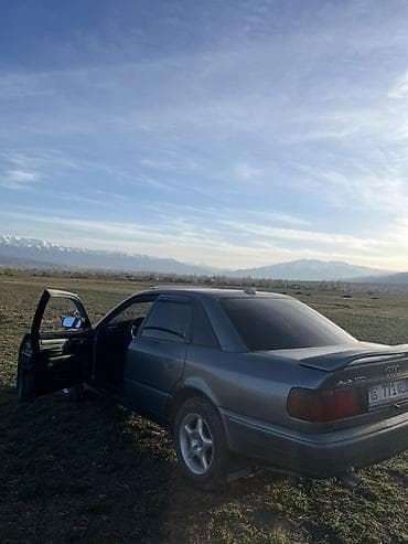 Audi: Audi 100: 1992 г., 2.3 л, Механика, Бензин, Седан — 2