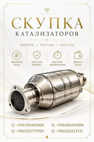 type s: Катализатор сатып алабыз, эн кымбат баада катализатор, Куплю — 1
