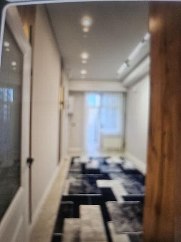 flat rent: 1 комната, 55 м², Элитка, 4 этаж, Дизайнерский ремонт — 1