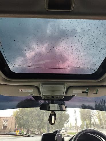 чемодан в багажник авто: Subaru Forester: 2002 г., 2 л, Автомат, Газ, Кроссовер — 4