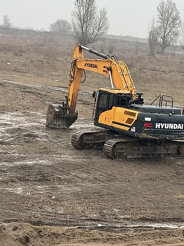 колония муравьёв: Экскаватор, Hyundai, 2019 г., Гусеничный — 1