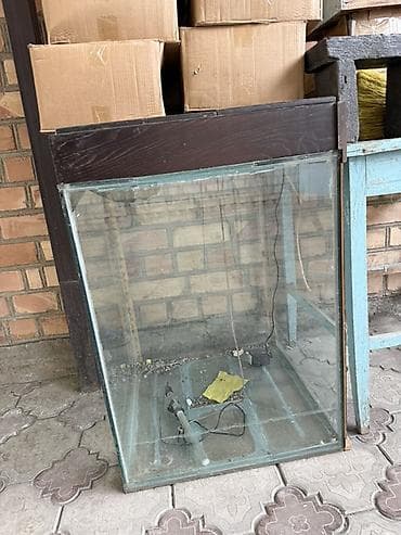 дождевик для мопса: Аквариум прямоугольный из стекла с деревянной крышкой. Особенности: - — 2