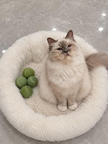 съёмки: Фотосъёмка | Студия | Рекламные ролики, Съемки мероприятий, Love story — 8