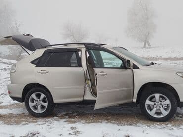 лехсус: Lexus RX: 2005 г., 3.3 л, Кроссовер — 9