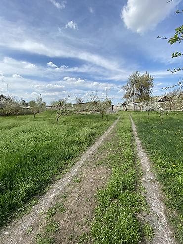 шагыл сокулук: 12 соток — 3