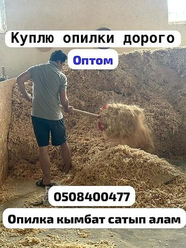 ОПТОМ ОПИЛКА САТЫП АЛАМЫН КУПЛЮ КУПЛЮ КУПЛЮ Услуга: закупка опилок
