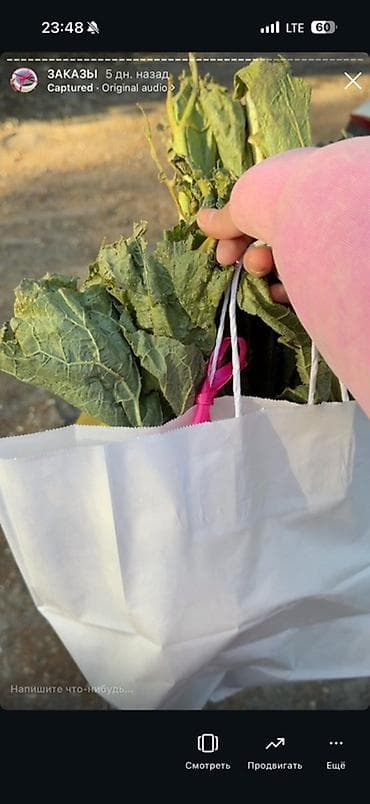 арбуз алам: Абрикосы В розницу — 9