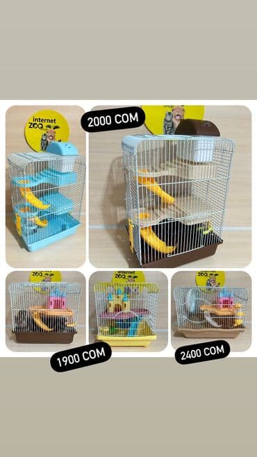 Декоративные кролики: У нас большой выбор клеток для хомяков. Одноэтажные, двухэтажные — 3