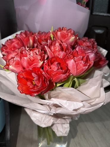 цветок женское счастье цена: Отдам оба за 3к Отправил бывший. Кустовые Тюльпаны Свежие Только — 2