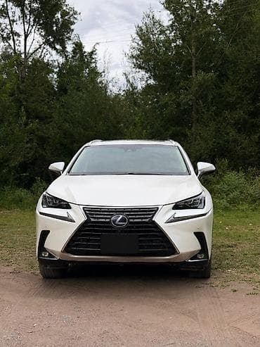sequoia 2010: Lexus NX: 2018 г., Гибрид, Кроссовер — 3