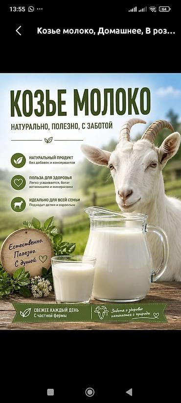 Козье молоко, Домашнее, В розницу at lalafo.kg Козье молоко, Домашнее, В розницу