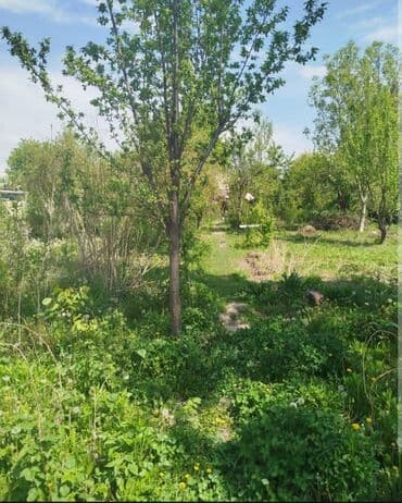 дом кырман: Дом, 50 м², 3 комнаты, Собственник, Старый ремонт — 2