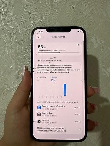13 mini: IPhone 12 Pro Max, Б/у, 256 ГБ, Pacific Blue, 53 % — 4