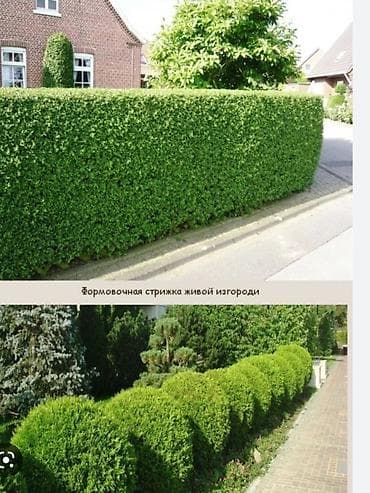 форма военных: Уборка территории, Стрижка газона — 8