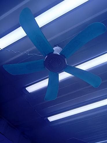 Потолочный вентилятор с пятью лопастями синего цвета. В центре lalafo.kg да Потолочный вентилятор с пятью лопастями синего цвета. В центре