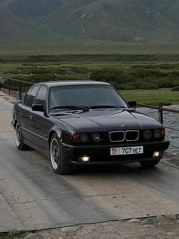 молдинг на е34: BMW 5 series: 1993 г., 2.5 л, Бензин, Седан — 2