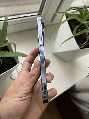 iphone 11 red: IPhone 13 Pro, Sierra Blue — 5