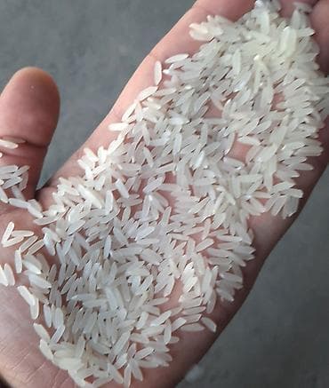 цельнозерновая мука бишкек: Ташкентский лазер высший сорт Доставка бесплатно — 3