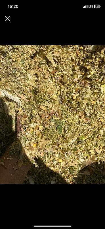 Продаю силоз