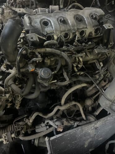trail: Дизельный мотор Nissan 2004 г., 2.2 л, Б/у, Оригинал, Япония — 3