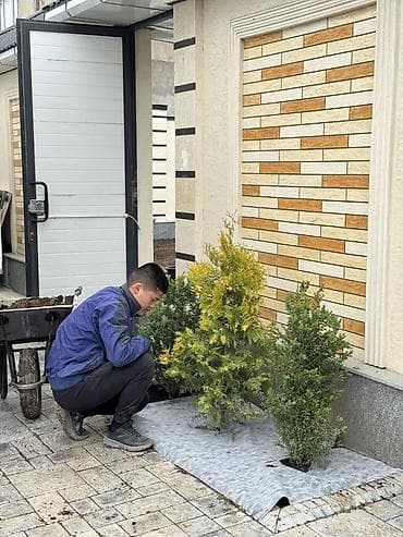 Ландшафтный дизайн Автополив под ключь 👌🏻🏡 Аман звоните