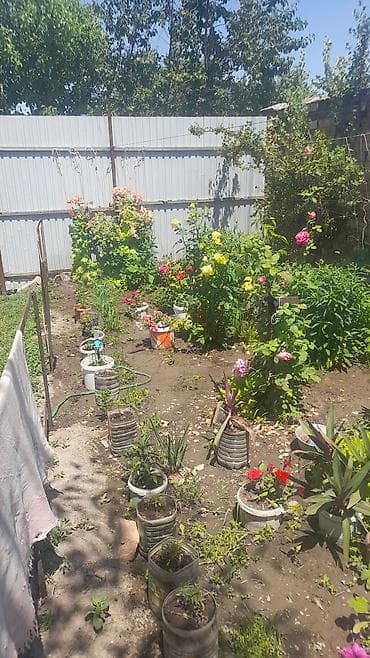 комната берем: Сдается квартира барачного типа район пивзавода 2комнаты, коридор — 2