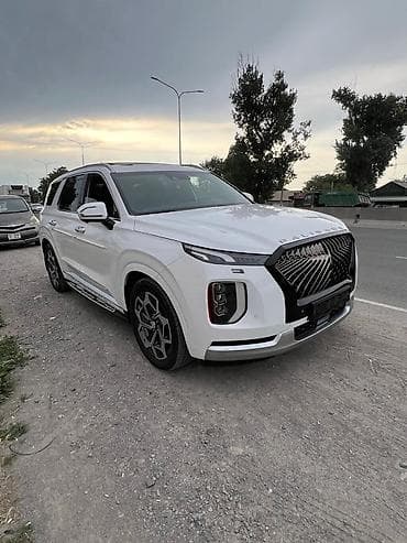 тент крыша: Hyundai Palisade: 2021 г., 2.2 л, Автомат, Дизель, Кроссовер — 2