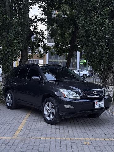 авто краслер: Lexus RX: 2004 г., 3.3 л, Автомат, Газ, Кроссовер — 3