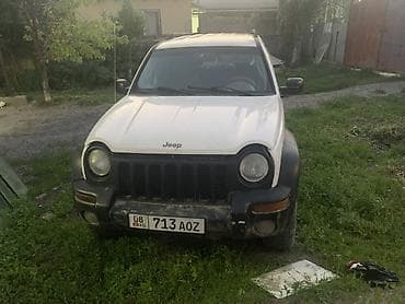Jeep Liberty: 2004 г., Жол тандабас — 4