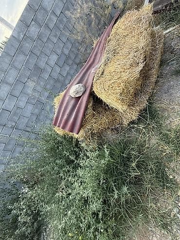 Спорт и хобби: Велик сатылат Барс улгусундо Детская кресло у бар Баасы 4,500сом Адрес — 6