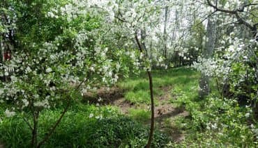 купит дом кара балта: Үй, 50 кв. м, 3 бөлмө, Менчик ээси — 3