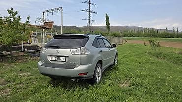 Lexus: Lexus RX: 2004 г., 3.3 л, Автомат, Бензин, Кроссовер — 4